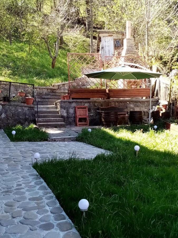 Apartamento Pensiunea Nick *