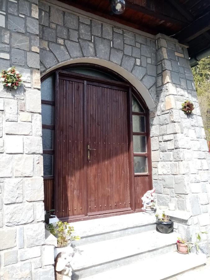 Apartamento Pensiunea Nick