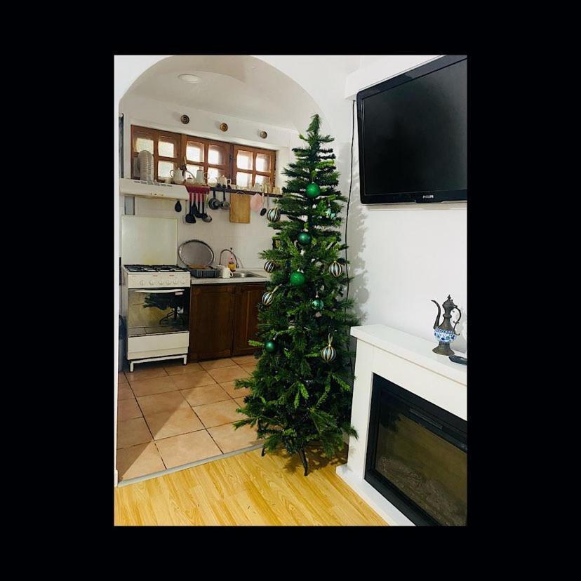 Apartamento Pensiunea Nick