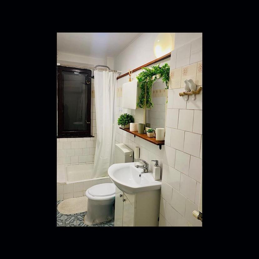 Pensiunea Nick Apartamento